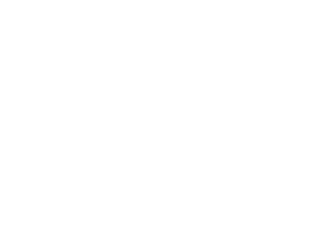 Electron