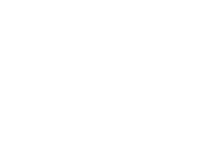 Electron